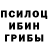 Псилоцибиновые грибы Psilocybe Prosto Iashaaa